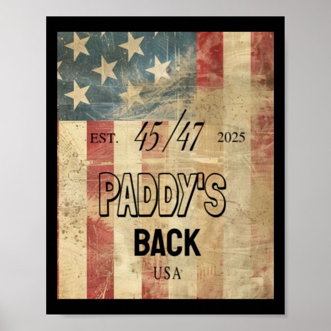 Póster Paddy está de vuelta siendo gracioso Trump2 (Frente)
