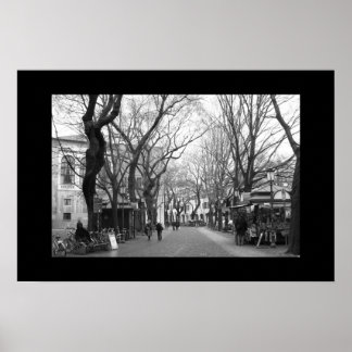 Póster Padova, Italia