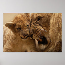 Póster Padre y león de hijo bonitos
