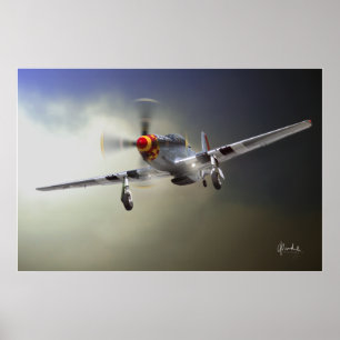 Póster Página de inicio