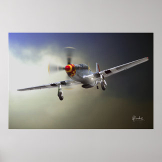 Póster Página de inicio