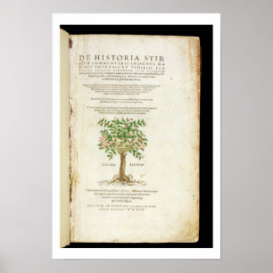 Póster Página de título de 'De Historia Stirpium Commenta