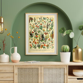 Póster Página del Libro de Flores Salvajes de Afiche Vint