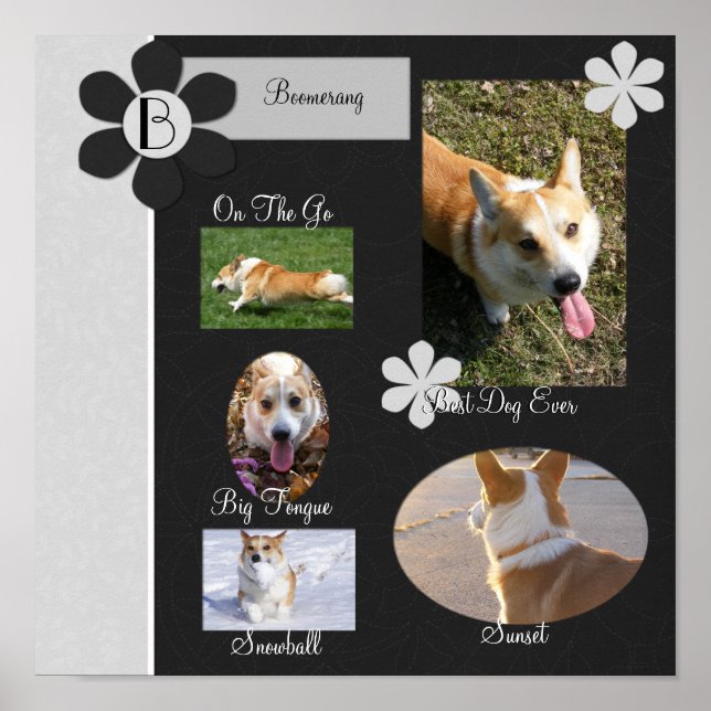 Póster Página Libro de Flores Blancas y Negras (Frente)