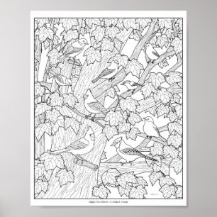 Póster Página para colorear adultos de pájaros y árbol de