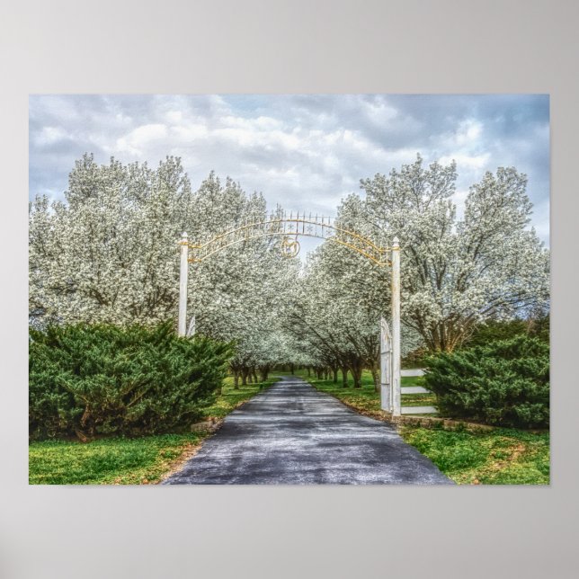 Póster Página principal de primavera (Frente)
