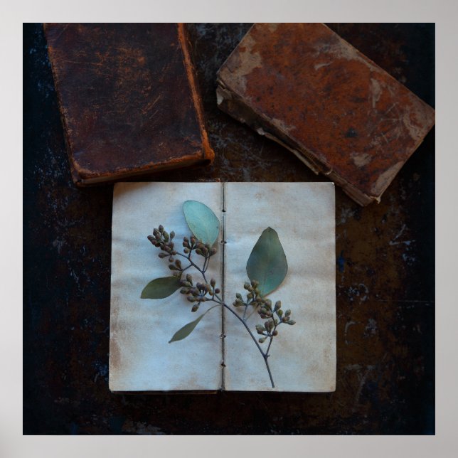 Póster Páginas del libro antiguo con hojas de eucalipto (Frente)
