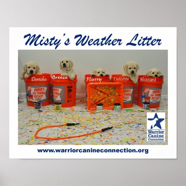 Póster Paint Bucket Puppies Poster (Frente)
