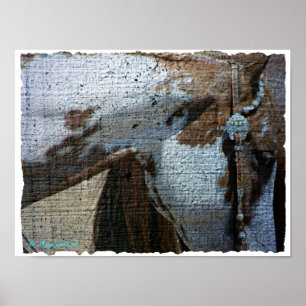Póster Paint Horse Crackle