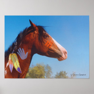 Póster Paint horse Feathers Poster