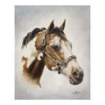 Paint Horse Poster