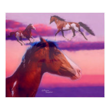 Paint Horse Sunset Poster