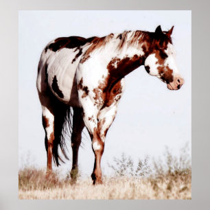 Póster Paint Horse Watercolor Poster Print