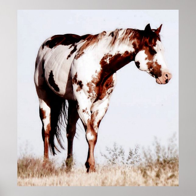 Póster Paint Horse Watercolor Poster Print (Frente)