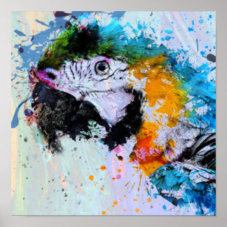 Póster Paint Splash Parrot | Poster Print