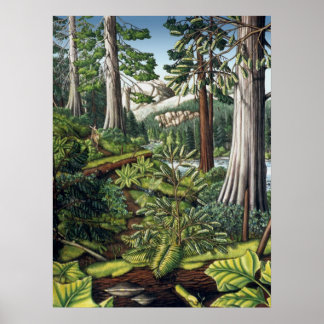 Póster Paintaje paisajístico canadiense escrito por Kim H