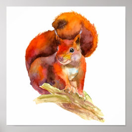 Póster Painted Alert Red Squirrel On A Branch Rustic