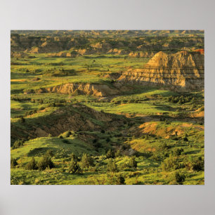 Póster Painted Canyon After Storm in Theodore Roosevelt