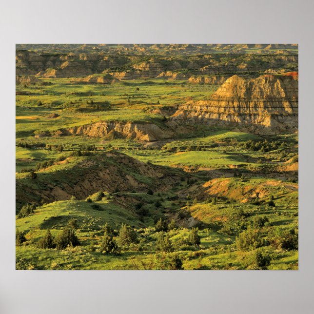 Póster Painted Canyon After Storm in Theodore Roosevelt (Frente)