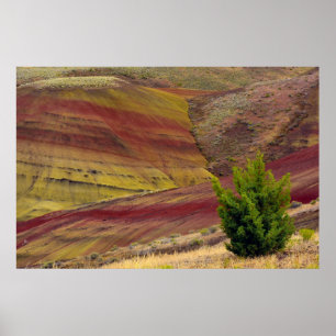 Póster Painted Hills, Mitchell, Oregon, USA