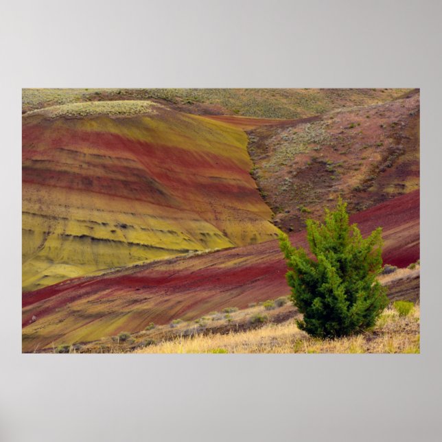 Póster Painted Hills, Mitchell, Oregon, USA (Frente)