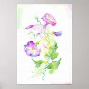 Póster Painted watercolor convolvulus flowers