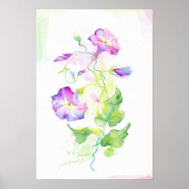 Póster Painted watercolor convolvulus flowers (Frente)