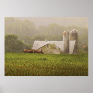 Póster País - Agricultura Amish
