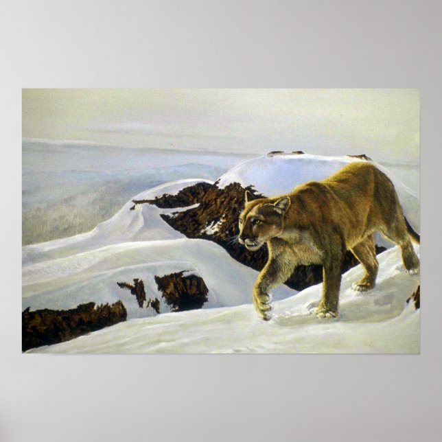 Póster País de Cougar (Frente)