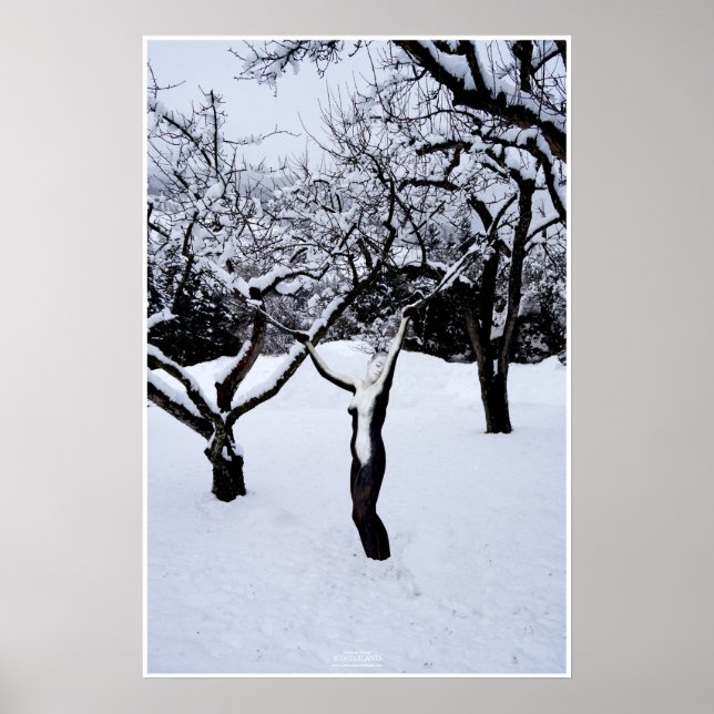 Póster País de invierno by Johannes Stötter (Frente)