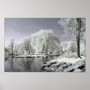 Póster País de las maravillas del invierno