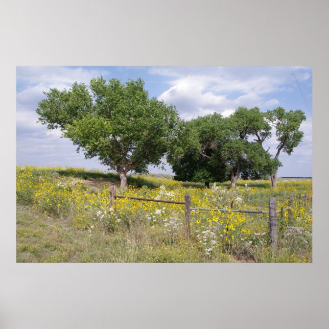 Póster País de Oklahoma (Frente)