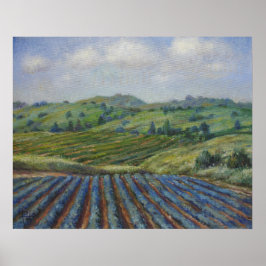 Póster País del vino