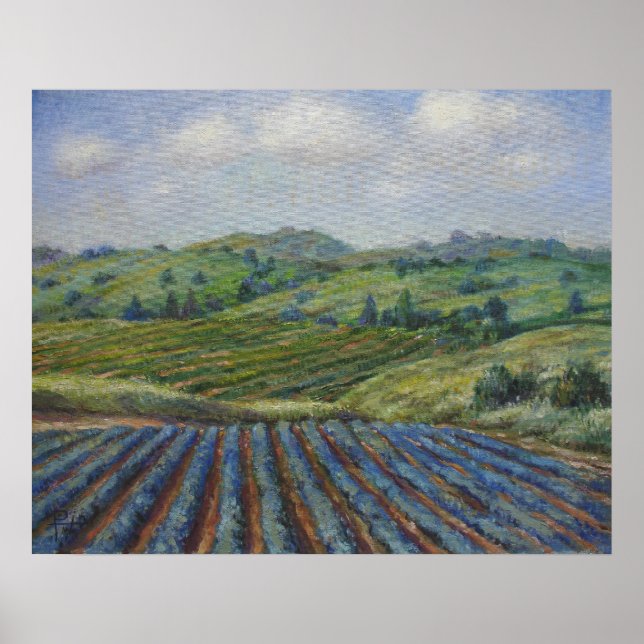 Póster País del vino (Frente)