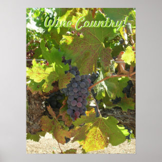 Póster - País del Vino