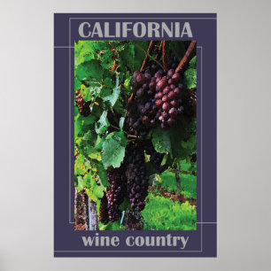 Póster País del Vino de California