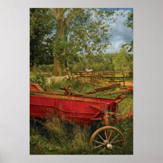 Póster País - En el campo II