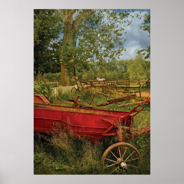 Póster País - En el campo II (Frente)