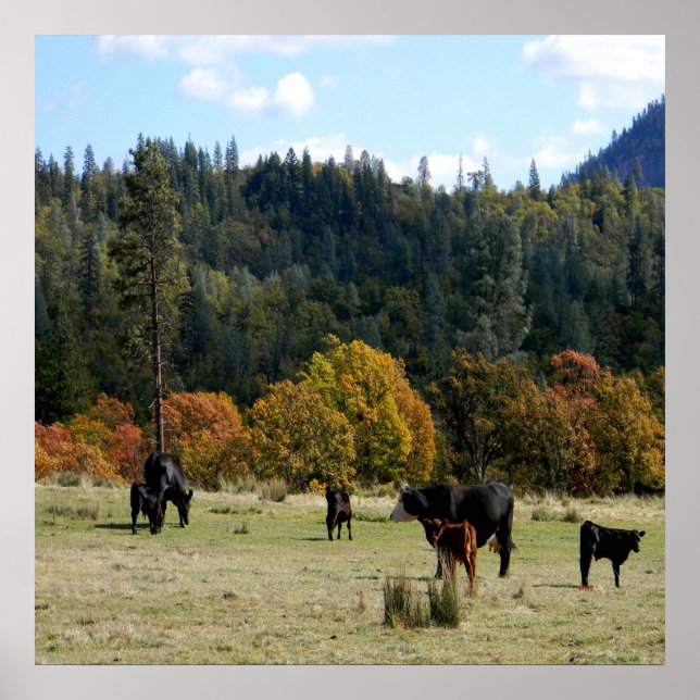 Póster País en otoño... (Frente)