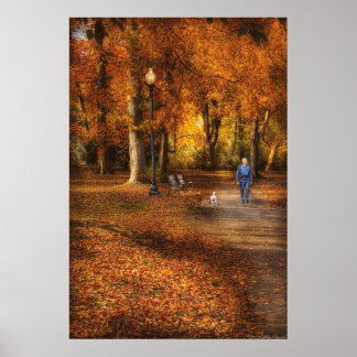 Póster País - Un paseo por el parque