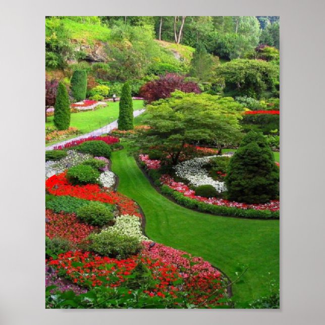 Póster paisaje (Frente)