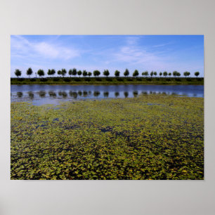 Póster Paisaje