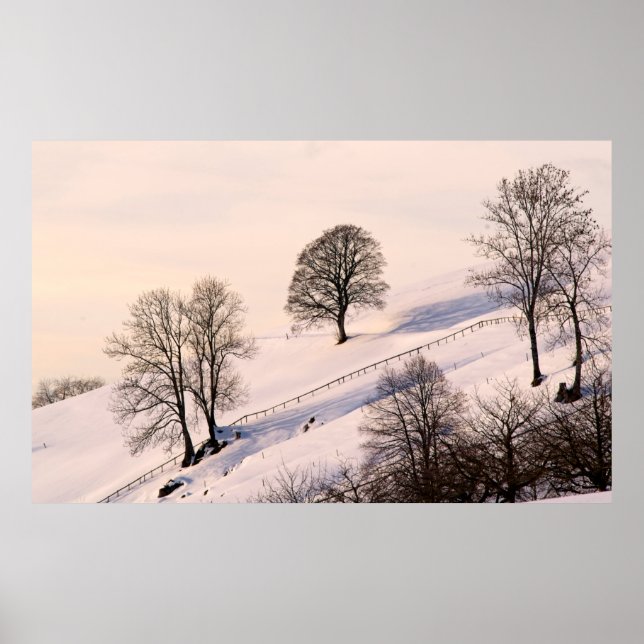 PÓSTER PAISAJE (Frente)