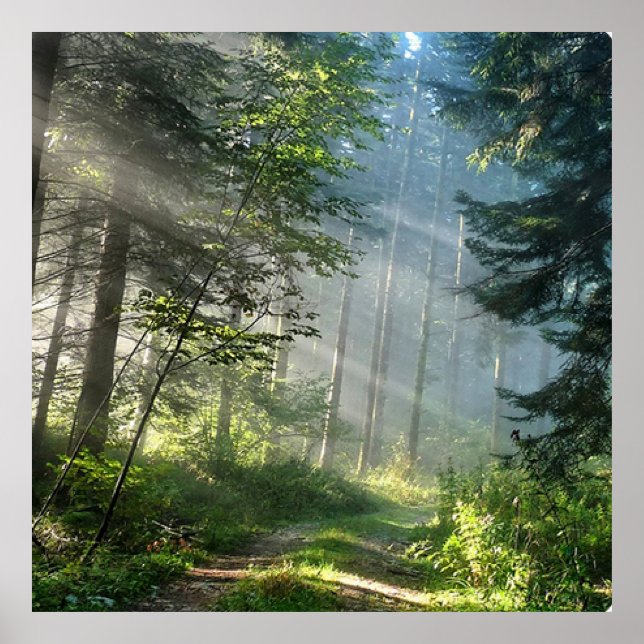 Póster Paisaje (Frente)