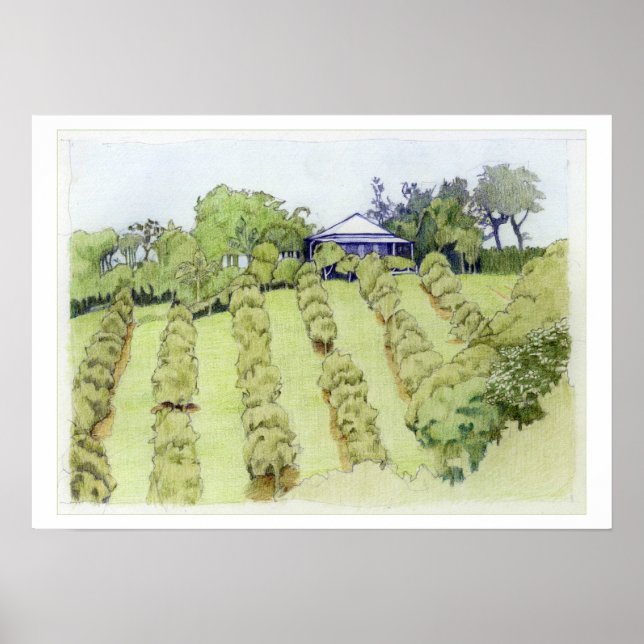 Póster Paisaje (Frente)