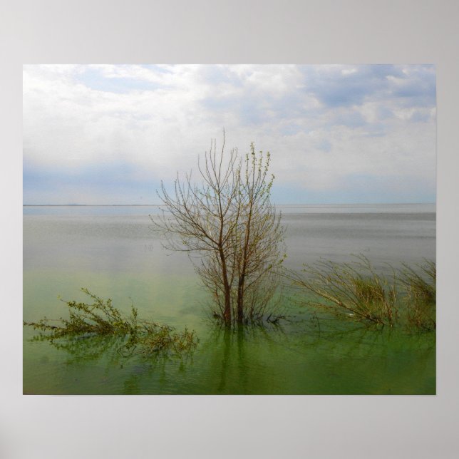 Póster Paisaje acuático (Frente)