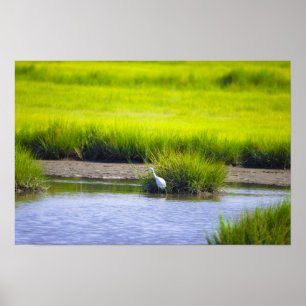 Póster Paisaje Acuático de Garza
