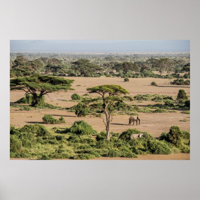 Póster Paisaje africano con elefante (Frente)