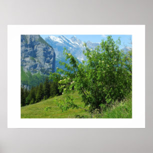 Póster Paisaje alpino en Suiza