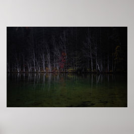 Póster Paisaje arbolado en el lago